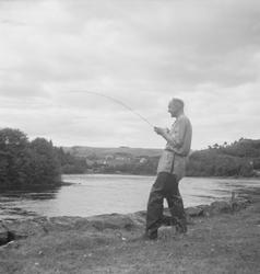 Laksefisker i Nidelva