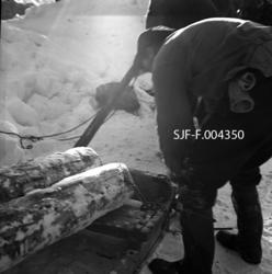 "Hankekjøring med hest, Vestre Gausdal. Tømmeret festes til 