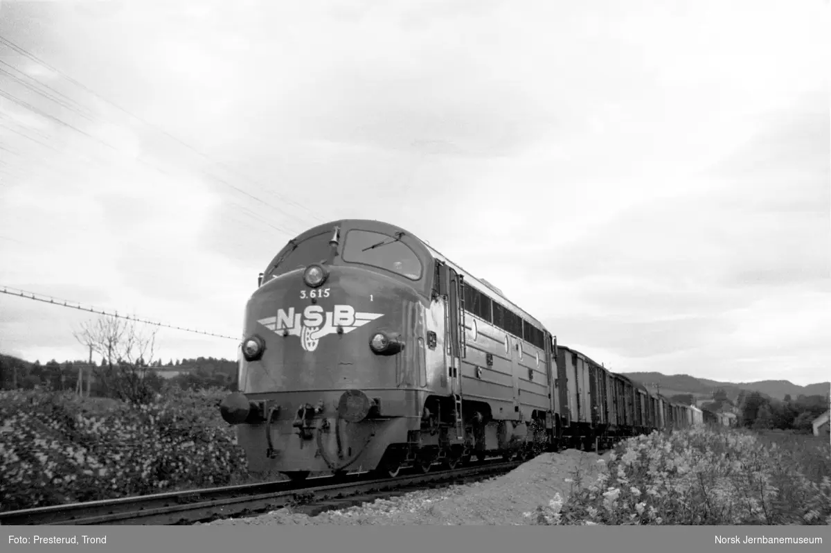 Diesellokomotiv type Di 3 nr. 615 med godstog ved Være holdeplass