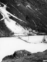 Kveldsbeitefonna i 15.05.1955.e enn han trodde.