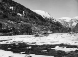 Isfår nord for Nebba.