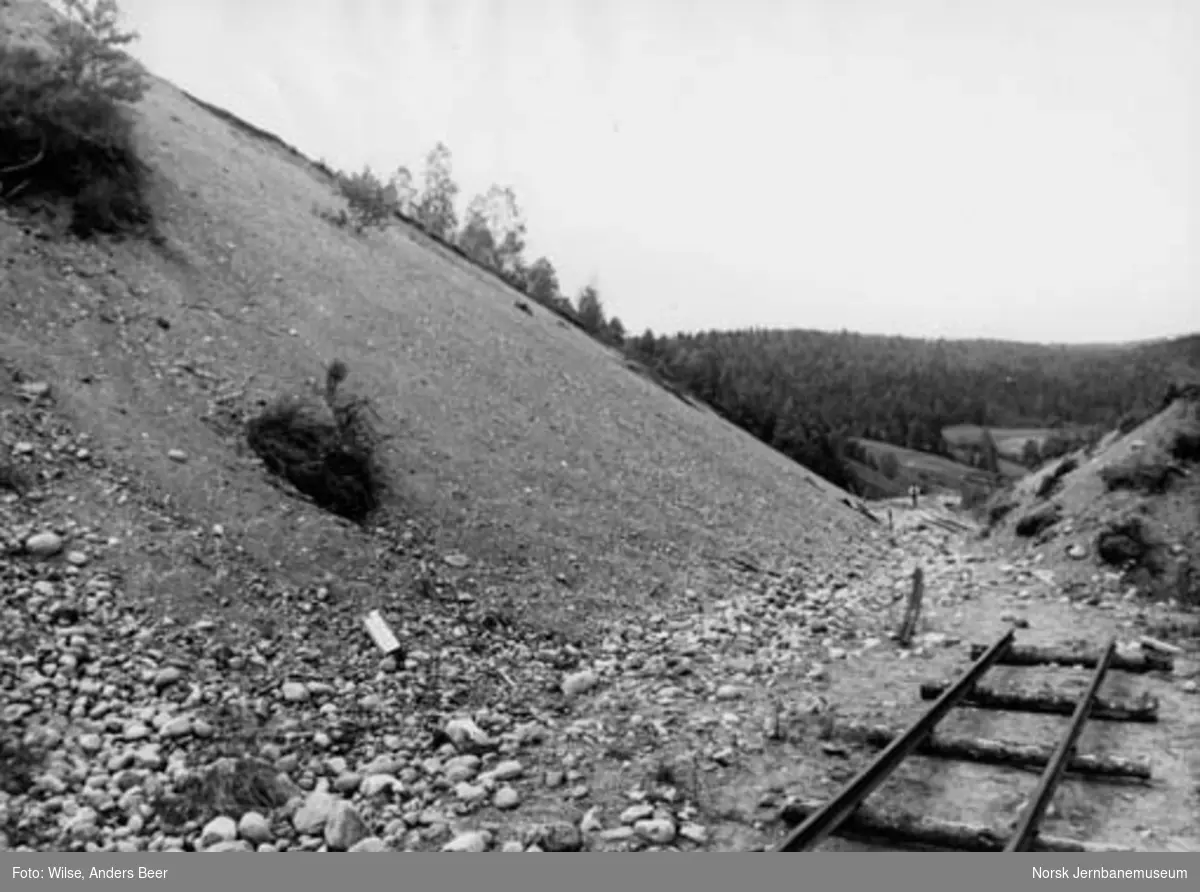 Nordlandsbaneanlegget : skjæring ved Tømmerdal