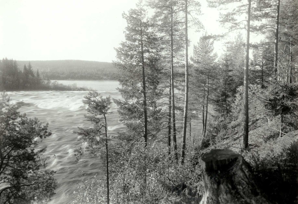Prestfossen, Elverum, Sør-Østerdal, Hedmark. Glomma med foss mellom trær.