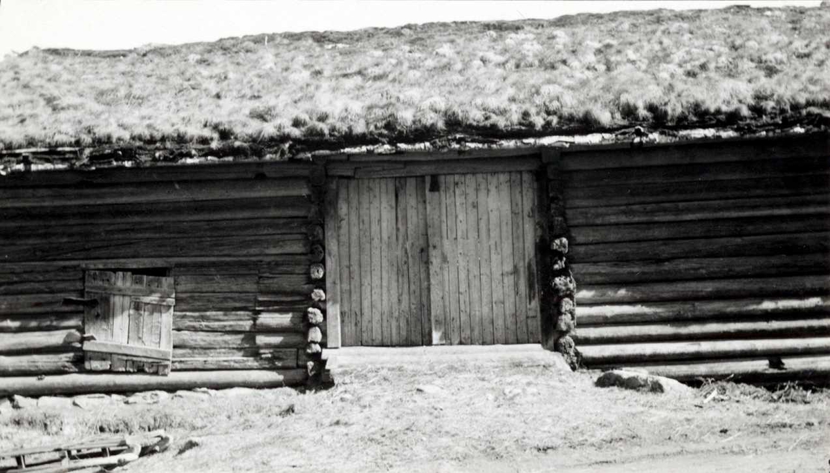 Foto av løa, tatt i forbindelse med nedrivingen av fjøset og løa fra Skomedal, som senere er blitt satt opp på Norsk Folkemuseum i Setesdalstunet.