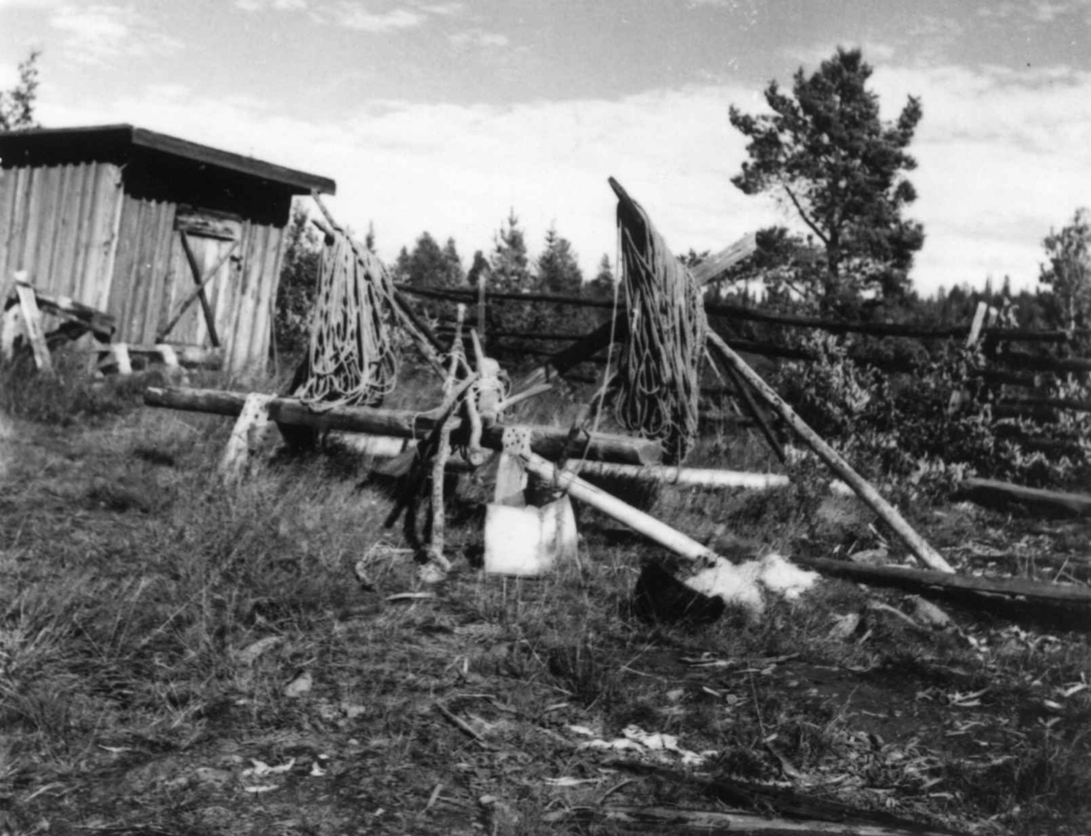 To garnheng med opphengt nottau, to notspill og en skremmestang,  ved notfiske. Et uthus i bakgrunnen. Kurravarra 1948.
