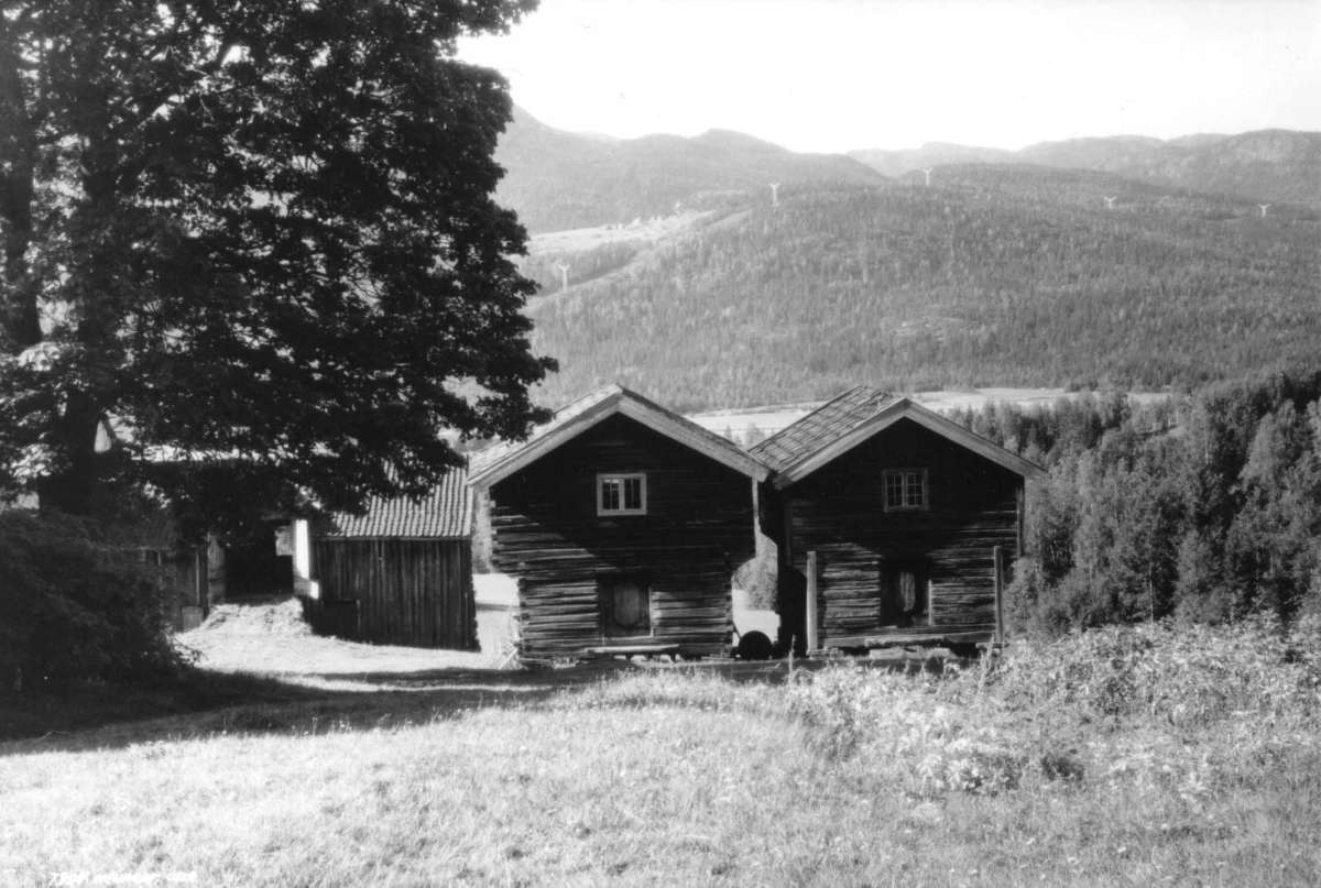 Landskap, Buskerud 1930. Oversiktsbilde. Gårdstun med låve og stabbur. I bakgrunnen skog og åser.