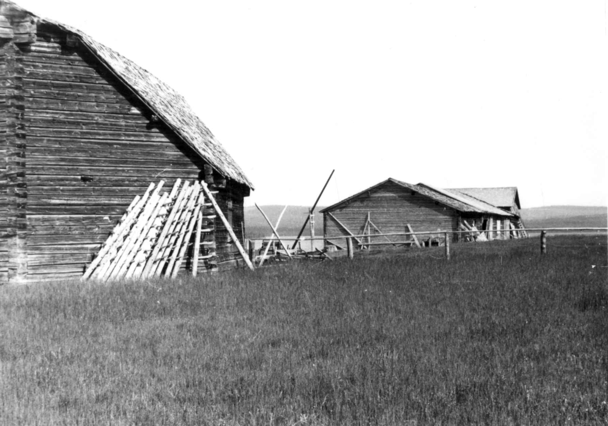 Treskelåve og andre uthus. Gråträsk ved Arvidsjaur 1958.