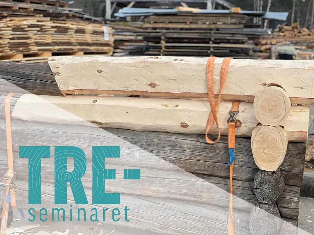 Hjerleid